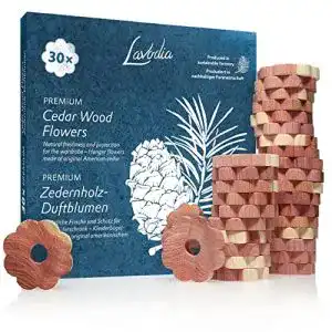 Mottenfalle LAVODIA Zedernholz Ringe: 30 Premium
