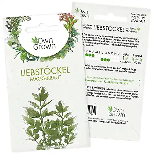 Liebstöckel-Samen OwnGrown Liebstöckel Samen: ca. 100 Pflanzen