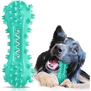 Kauspielzeug Hund Youmics Zahnbürste Hundekauspielzeug