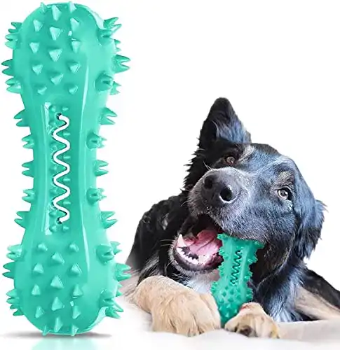 Kauspielzeug Hund Youmics Zahnbürste Hundekauspielzeug