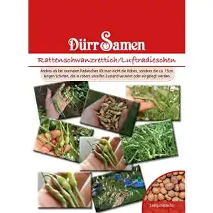 Rettich-Samen Dürr-Samen 1005 Rattenschwanzrettich