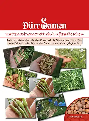 Rettich-Samen Dürr-Samen 1005 Rattenschwanzrettich