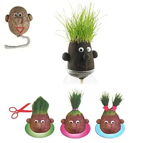 Graskopf Cabeza de Hierba Huevo Doridia Imports, Egghead