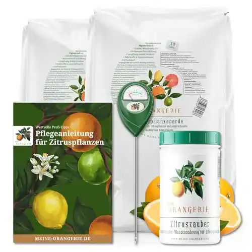 Die beste Zitruserde Meine Orangerie Zitrus-Pflegepaket Mezzo: Beste + starker Zitrusdünger 2026 Test Bestseller Zitruserde Meine Orangerie Zitrus-Pflegepaket Mezzo: Beste + starker Zitrusdünger