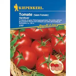 Tomatensamen Kiepenkerl, Tomaten Harzfeuer