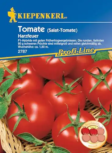 Tomatensamen Kiepenkerl, Tomaten Harzfeuer