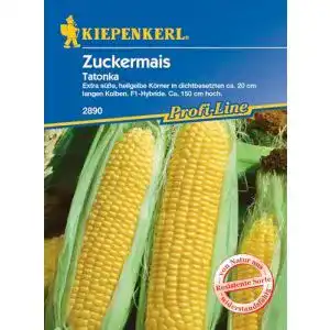 Maissamen Kiepenkerl, Zuckermais Tatonka