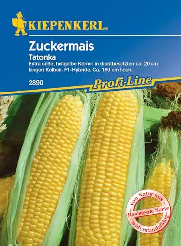 Maissamen Kiepenkerl, Zuckermais Tatonka