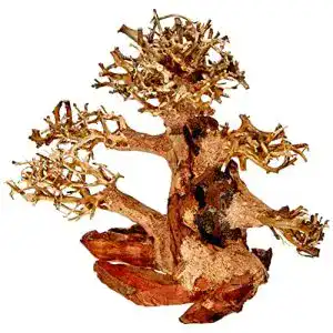 Aquariumdeko Amtra A8147654 Holz Oriental Wind 4, S