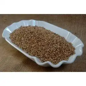 Koriandersamen Naturix24 – Koriander ganz – 1 Kg Beutel