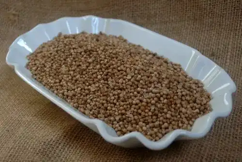 Koriandersamen Naturix24 – Koriander ganz – 1 Kg Beutel