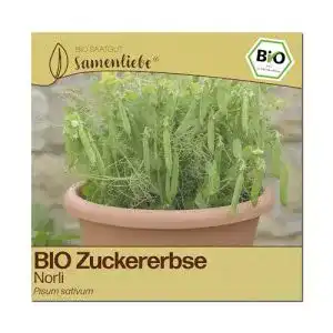 Erbsen-Samen Samenliebe BIO alte Sorte Norli sehr süß