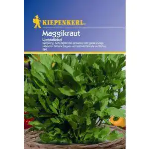 Liebstöckel-Samen Kiepenkerl Maggikraut Liebstöckel mehrjährig