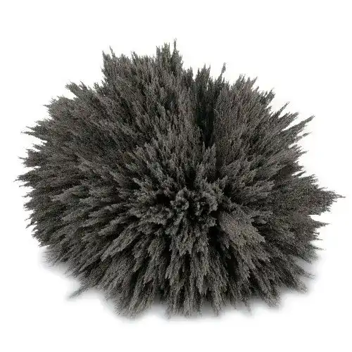 Eisenpulver magnets4you 100g Eisenspäne