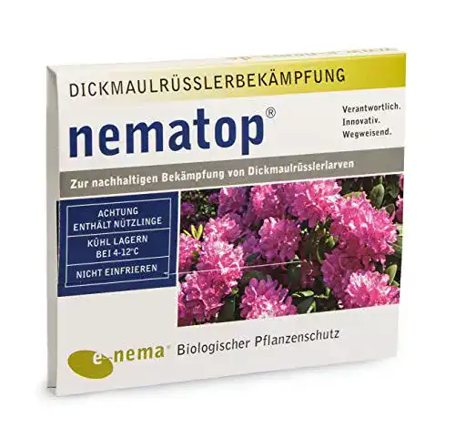 Nematoden nematop ® HB zur Bekämpfung des Dickmaulrüsslers