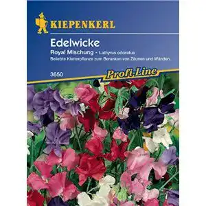 Duftwicken-Samen Kiepenkerl, Edelwicke, Lathyrus odoratus Royal