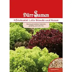 Salat-Samen Dürr-Samen Pflücksalat Lollo Bionda und Rossa