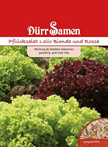 Salat-Samen Dürr-Samen Pflücksalat Lollo Bionda und Rossa