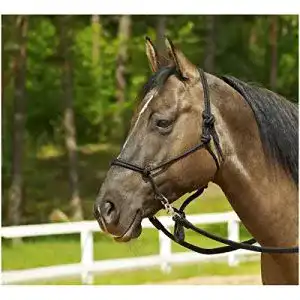 Knotenhalfter WILDHORN RINGE, schwarz, Pony/Vollblut