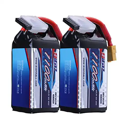 6S-LiPo Generisch SIGP 1100mAh 6S Lipo Battery 22.2V 120C