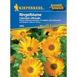 Ringelblumen-Samen Kiepenkerl Ringelblumen Heilkraut