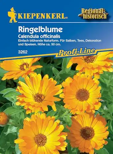 Ringelblumen-Samen Kiepenkerl Ringelblumen Heilkraut