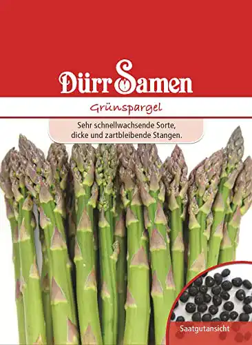 Dürr-Samen Dürr-Samen Grünspargel Saatgut