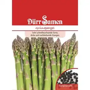 Spargelsamen Dürr-Samen Grünspargel Saatgut