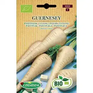 Pastinakensamen Germisem Pastinak GUERNESEY ECBIO9030