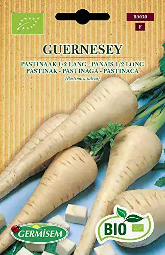 Pastinakensamen Germisem Pastinak GUERNESEY ECBIO9030