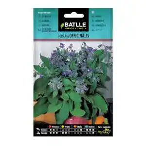 Borretsch-Samen Batlle Kräutersamen, Borretsch Officinalis