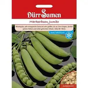 Erbsen-Samen Dürr-Samen Dürr Samen 0204 Markerbse Jumbo
