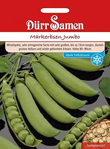 Erbsen-Samen Dürr-Samen Dürr Samen 0204 Markerbse Jumbo