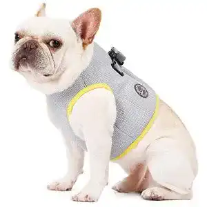 Kühlweste Hund TFENG Kühlweste für Hunde D-Ring