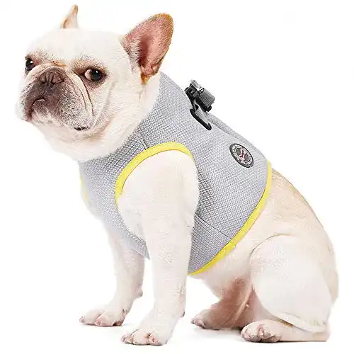 Kühlweste Hund TFENG Kühlweste für Hunde D-Ring
