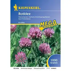 Rotklee-Samen Kiepenkerl Rotklee 1 Kg