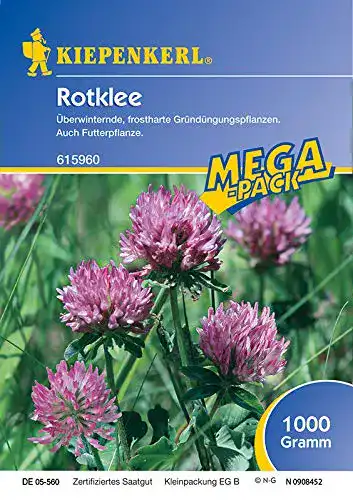Rotklee-Samen Kiepenkerl Rotklee 1 Kg
