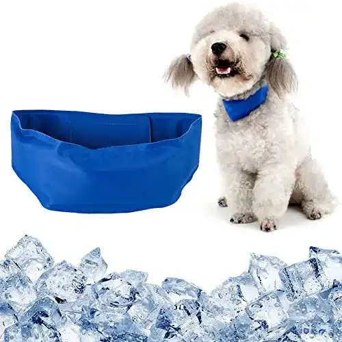 Kühlhalsband Hund SCOBUTY Kühlbandana für Hunde