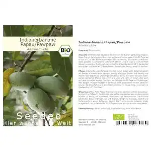 Bananensamen Seedeo Indianerbanane/Papau/Pawpaw 3 Samen