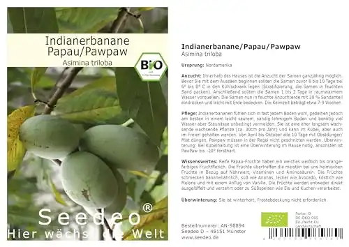 Bananensamen Seedeo Indianerbanane/Papau/Pawpaw 3 Samen