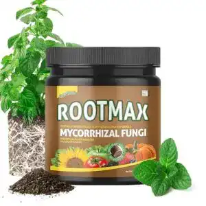 Mykorrhiza Grow Mate RootMax 1KG Wurzelaktivator