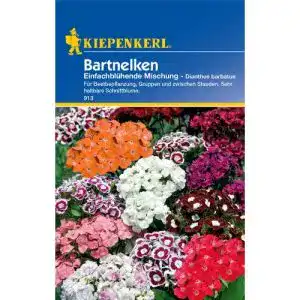 Bartnelken-Samen Kiepenkerl 913 einfachblühende Mischung