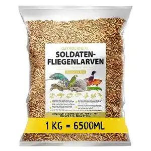 Futterinsekten MeerBach & Rose Soldatenfliegenlarven, Black Soldier