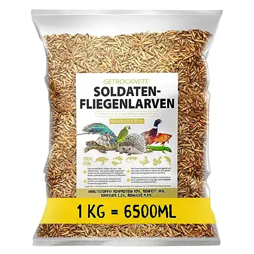 Futterinsekten MeerBach & Rose Soldatenfliegenlarven, Black Soldier