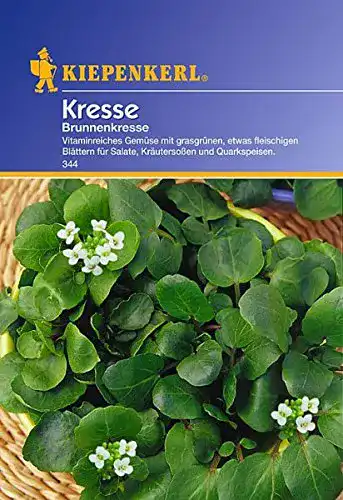 Kressesamen Kiepenkerl Kresse Brunnenkresse