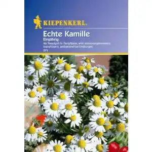 Kamille-Samen Kiepenkerl Kamille Einjährig Echte