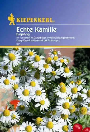 Kamille-Samen Kiepenkerl Kamille Einjährig Echte