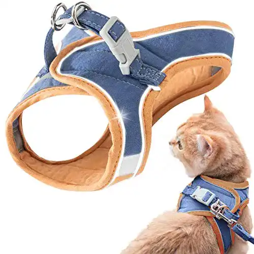 Die beste Katzengeschirr Kitten GeeRic Katzengeschirr, Weste mit Leine 2026 Test Bestseller Katzengeschirr Kitten GeeRic Katzengeschirr, Weste mit Leine