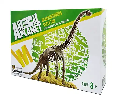 Dinosaurier-Skelett EDU-TOYS Brachiosaurus Skelett Bausatz 23 Teile