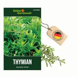 Thymian-Samen Deine Gartenwelt Thymian Deutscher Winter